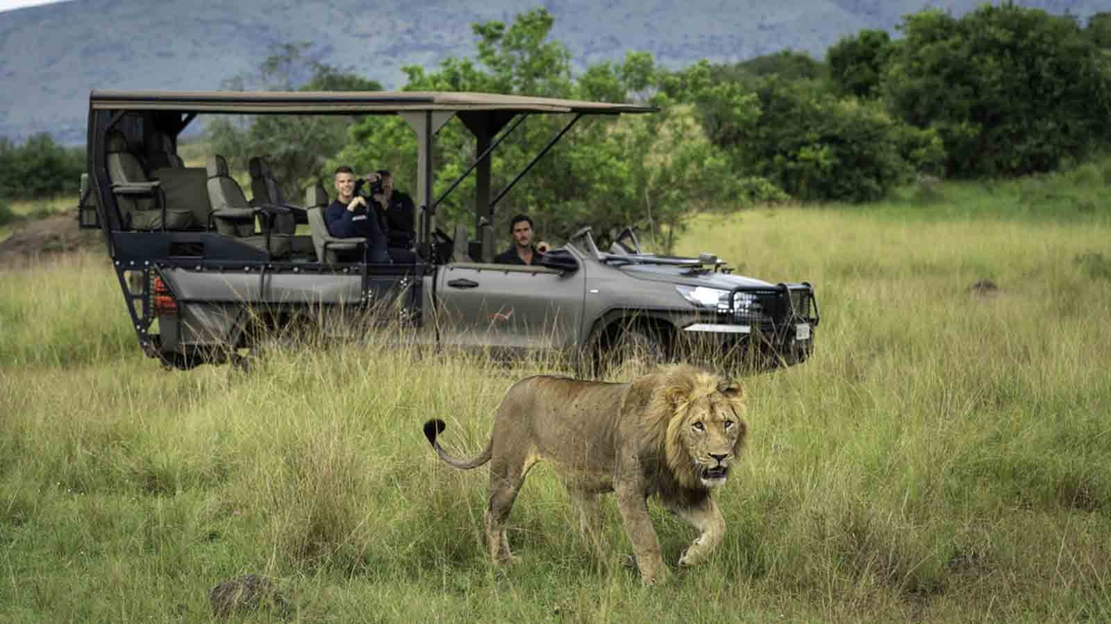 Big 5 Safari In Akagera National Park, Akagera National Park safari, Rwanda big 5 safari, wildlife safari in Akagera, Akagera safari tours