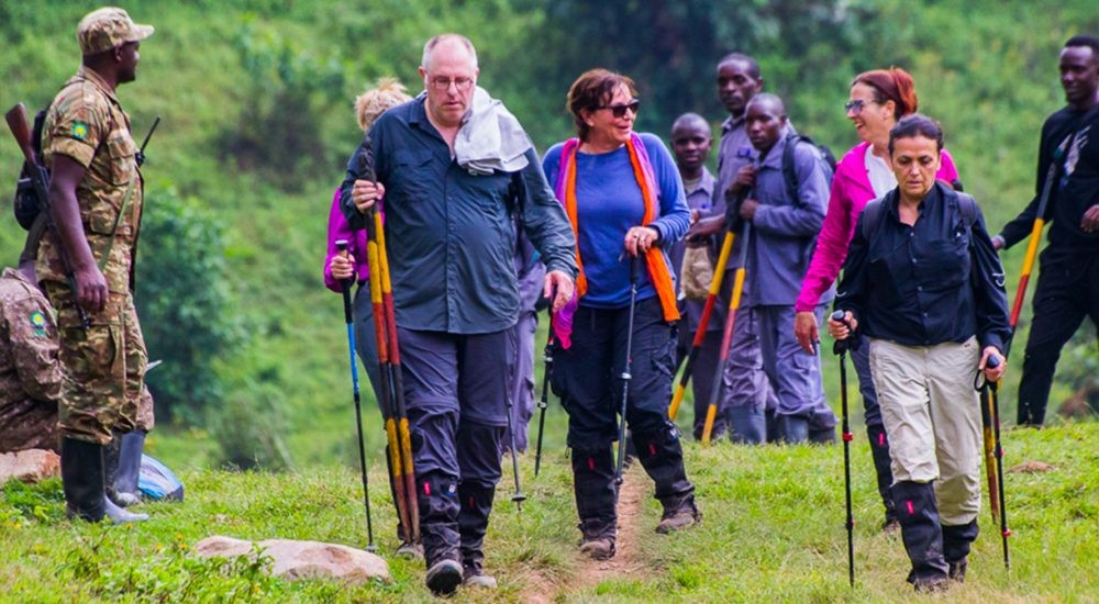 Gorilla Trek Packages, Rwanda gorilla trek tours, gorilla trekking itineraries, best gorilla trek deals, Rwanda wildlife adventure packages