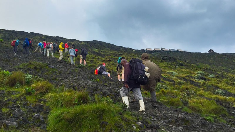 Tour Volcanoes National Park: Gorilla Trekking, Hiking, Safari & Wildlife