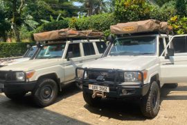 Off-road Car Rental, 4x4 vehicle hire, rugged car hire, off-road vehicles, best off-road rental