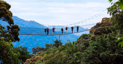 Nyungwe Canopy Walk, Nyungwe National Park, Rwanda canopy walk, Nyungwe forest activities, Rwanda rainforest experience