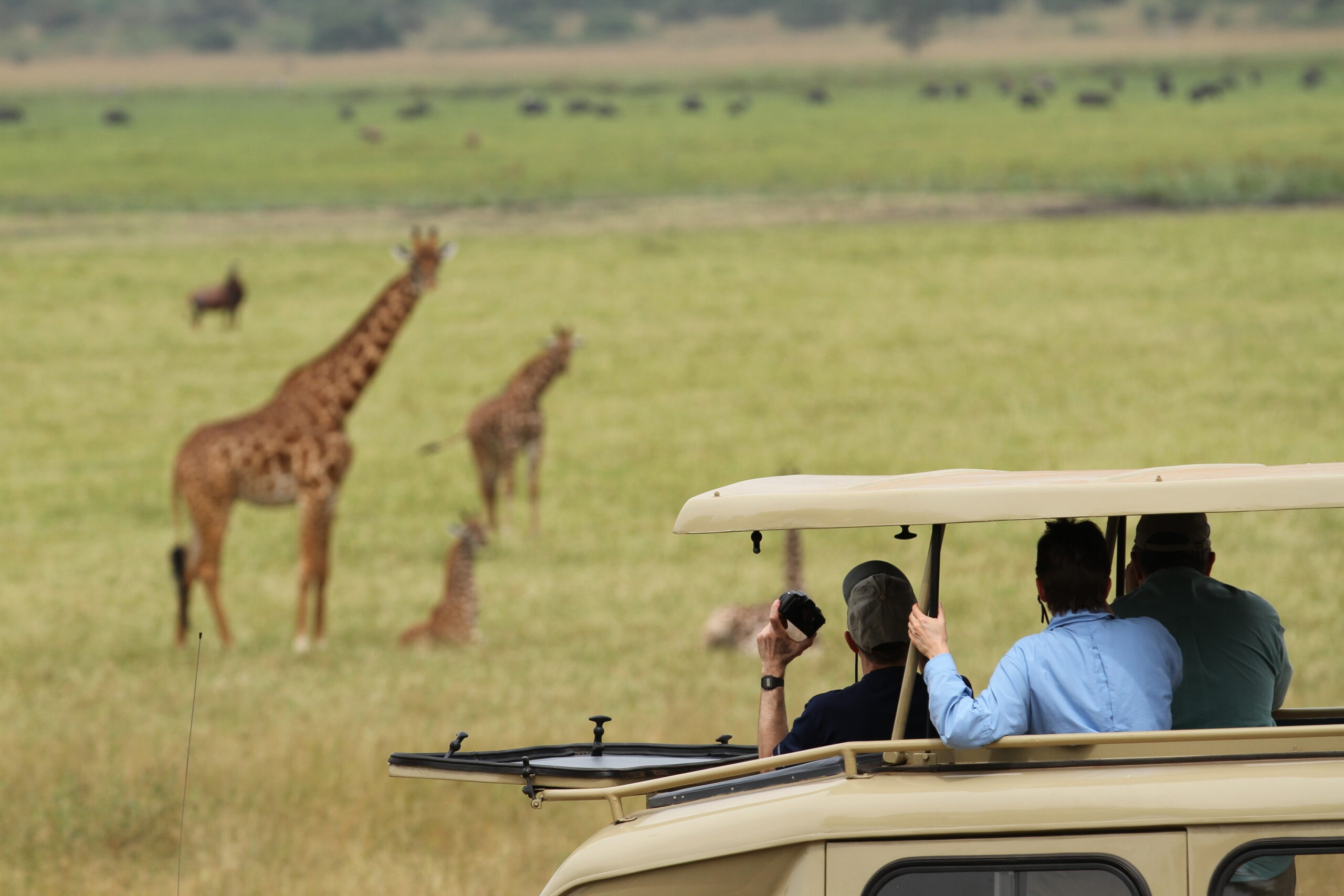 Akagera National Park safari, Akagera wildlife tours, Akagera game drive, Akagera boat safari, Akagera bird watching