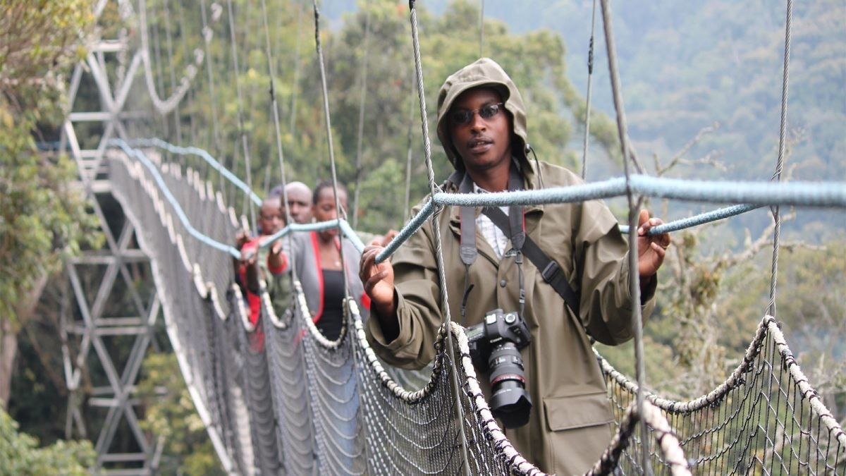 Nyungwe Canopy Walk, Nyungwe National Park, Rwanda canopy walk, Nyungwe forest activities, Rwanda rainforest experience