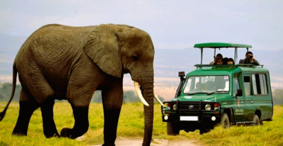 Akagera National Park safari, Akagera wildlife tours, Akagera game drive, Akagera boat safari, Akagera bird watching