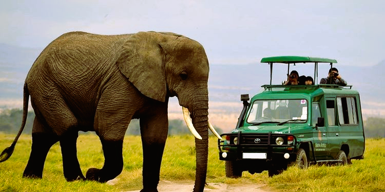 Akagera National Park safari, Akagera wildlife tours, Akagera game drive, Akagera boat safari, Akagera bird watching