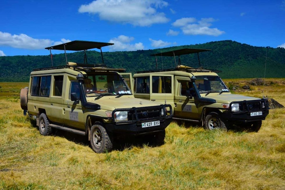 Visit Akagera National Park: Safari, Game Drive, Boat Safari & Bird Watching Tours