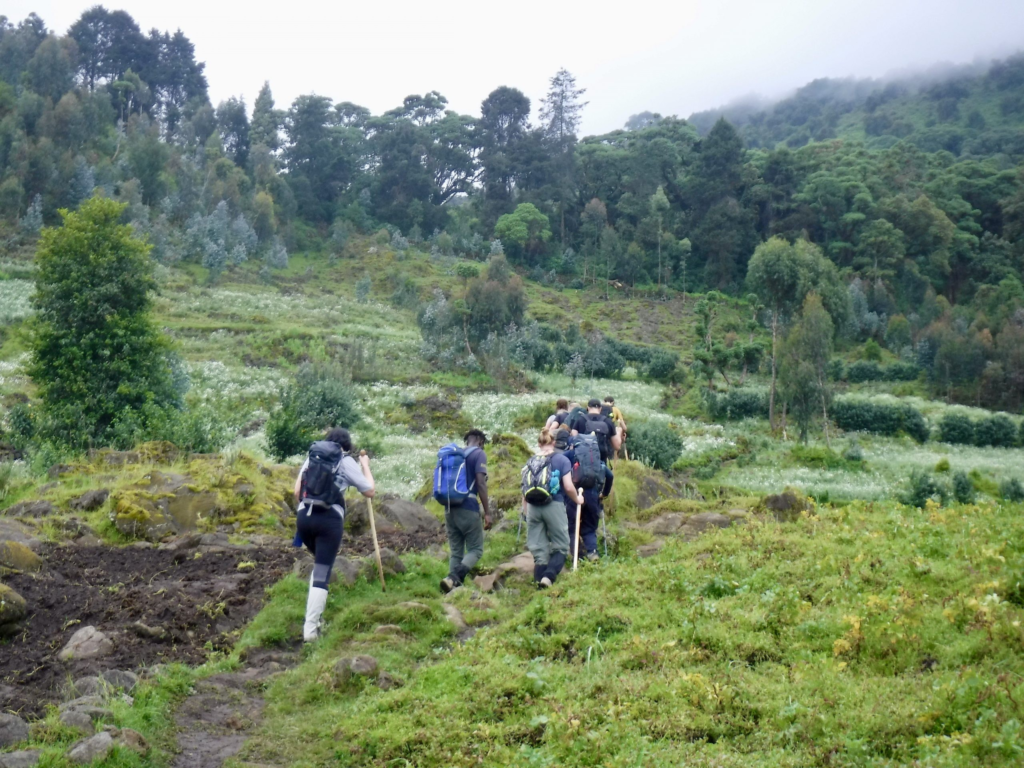 Mountain Bisoke Hike, Mount Bisoke trekking, Rwanda hiking tours, Volcano hiking in Rwanda, Best hikes in Rwanda